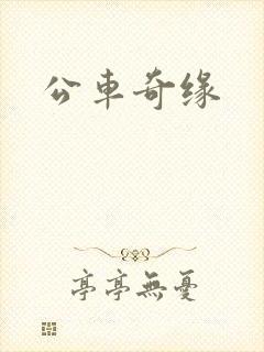 公车奇缘