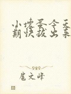 小坏蛋今天危险期快拔出来