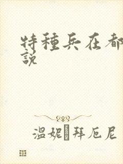 特种兵在都市小说