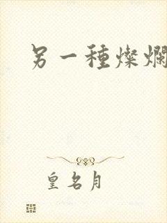 另一种灿烂生活