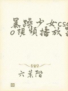 暴躁少女csgo视频播放器推荐