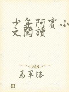 少年阿宾小说全文阅读