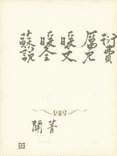 苏暖暖厉衍琛小说全文免费阅读