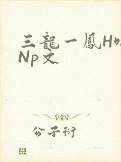 三龙一凤H啪肉Np文
