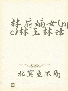 林府嫡女(npc)林玉林璋