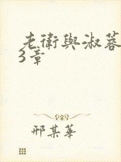 老卫与淑蓉第13章