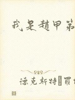 我是赵甲第小说