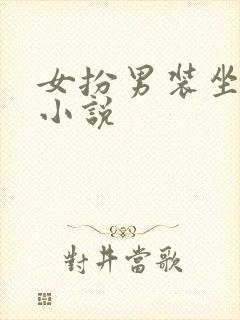 女扮男装坐江山小说