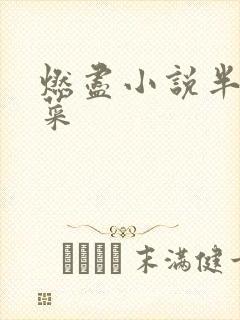 燃尽小说半截白菜