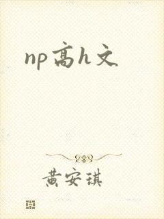 np高h文