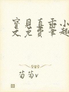 宝贝真乖小说全文免费笔趣阁