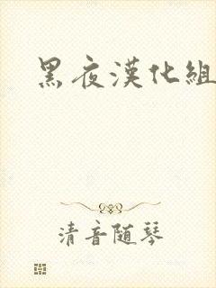 黑夜汉化组