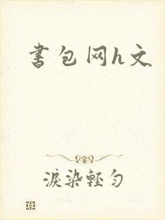 书包网h文