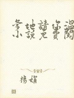 爹地请你温柔点小说免费阅读