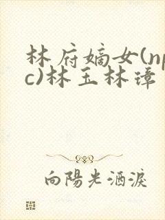 林府嫡女(npc)林玉林璋