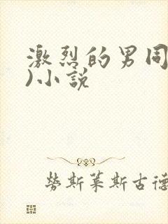 激烈的男同(h)小说