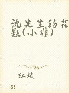 沈先生的花式调数(小非)