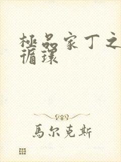 极品家丁之因果循环