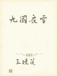 九国夜雪