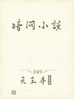 暗网小说