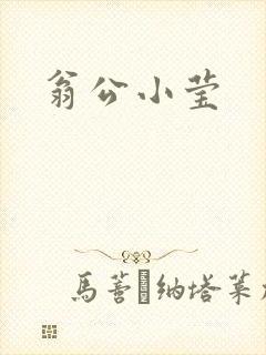 翁公小莹