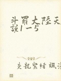 斗罗大陆天狂传说1一5