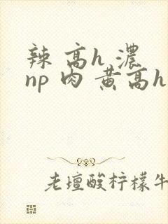 辣 高h 浓 np 肉 黄高h