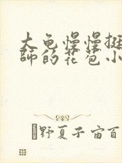 大龟慢慢挺进老师的花苞小说