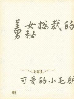 美女总裁的贴身男秘