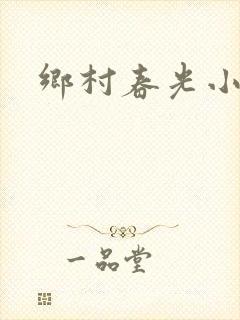 乡村春光小说