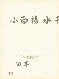 小白杨 水千丞