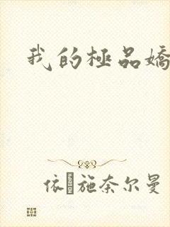 我的极品娇妻