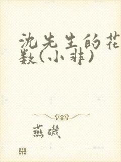 沈先生的花式调数(小非)