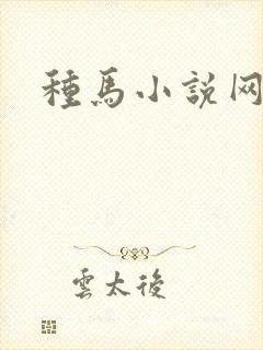 种马小说网
