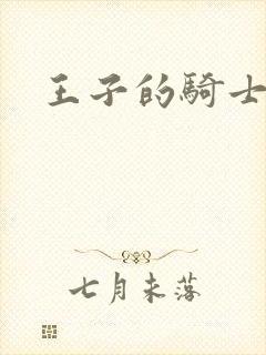 王子的骑士小说