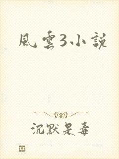 风云3小说