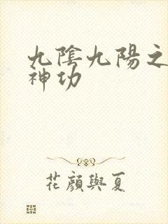 九阴九阳之阴阳神功