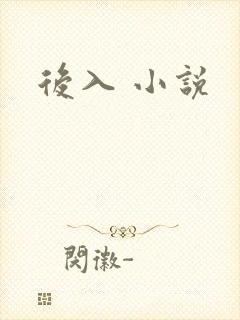 后入 小说