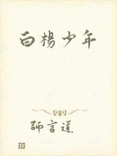 白杨少年
