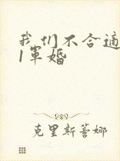 我们不合适1v1军婚