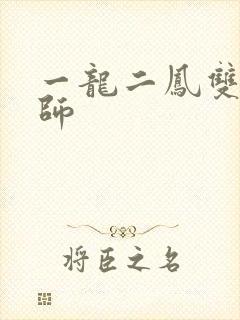 一龙二凤双飞老师