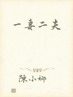 一妻二夫