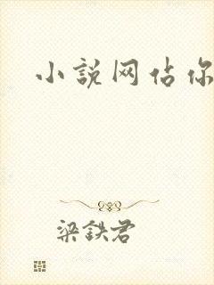 小说网站你懂的