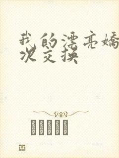 我的漂亮娇妻初次交换