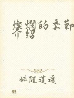 灿烂的季节剧情介绍