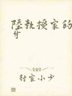 陆教授家的小月牙