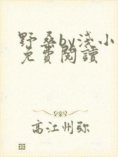 野桑by浅小说免费阅读