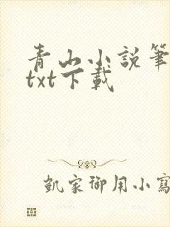 青山小说笔趣阁txt下载