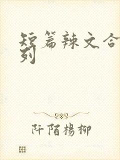 短篇辣文合集系列