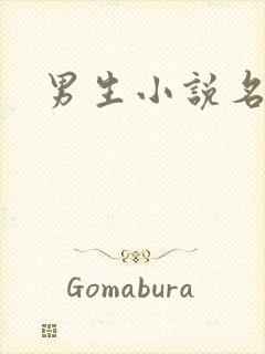 男生小说名字